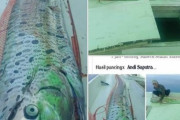 【地震魚】インドネシアで深海魚「リュウグウノツカイ」が捕獲される！漁師「大地震と津波が来るサイン」と投稿し、海外でも騒動に