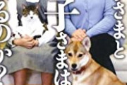 国民が願う『愛子さまの未来の夫』は誰かのアンケートを取った結果　