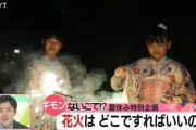 【ギモン】花火はどこでできるの!?公園は軒並み火気使用禁止！ 子ども「花火は近所迷惑になるから…」 玩具屋「夏の思い出を奪ってしまっている」
