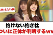 [日向坂46]抱けない抱き枕ついに正体が判明するwww