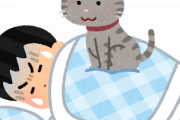 副反応中ずっとそばにいてくれた猫、看護疲れが顔に出るｗｗｗｗ
