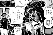 【画像】ワンピース最新話、とんでもない新設定が明らかにwwwwwwwwwww