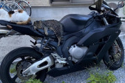 【たすけて】近所のノラネコが勝手にワイのバイクに乗るのをやめさせたい