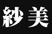 嫁にも両親にも義両親にもDQNネームつけるなと言われたんだが　「紗美」って普通だよな？