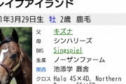 【悲報】キャロットさん、リバティアイランド(自由の島)に対抗してとんでもない馬名をつけてしまう