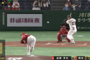【GIF】昨日の巨人･岡本和真のホームラン…