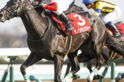 【競馬】　ダノンキングリーって実際どのくらいの強さなんだ？