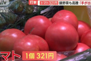 【悲報】トマトの値段、限界突破ｗｗｗｗｗｗｗｗｗｗｗｗｗｗｗｗｗ