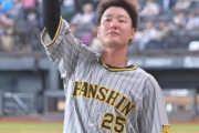 阪神・渡邉諒がヒーローインタビューで日本ハムファンにメッセージ「北海道から応援していただけるとありがたい」