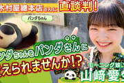 モーニング娘。'26 山﨑愛生×木村屋總本店【パンダさん(パン)製作プロジェクト】