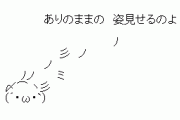【急募】若ハゲについて、正直な印象を教えて欲しい
