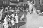 外国人「70年前の渋谷のハチ公像はこんな感じだったらしい」