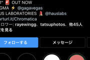 彡(;)(;)「インスタやってたけどレデイー・ガガにフォローされてから怖くてやってない」