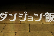 「ダンジョン飯」1話感想 観易く楽しく面白い！食は生きてこそ。レッドドラゴンに飲み込まれた妹を救うため、魔物を料理し喰らい迷宮を進め！！『水炊き/タルト』