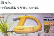 【事実陳列罪】syamu、両親に草刈り機を買うもお前が草むしりした方が親は喜ぶぞと正論を言われてしまう