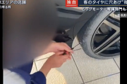 【悲報】ツイ民「ビッグモーターのパンク指導する動画の車…俺のじゃん…。」