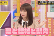 【乃木坂46】乃木坂『ケーキ選抜』が好きすぎるｗｗｗｗｗ