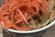 【悲報】最近は牛丼に紅ショウガ乗せただけで炎上するらしいｗｗｗｗｗｗｗｗ
