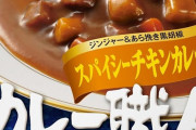 グリコ カレー職人 スパイシーチキンカレー 辛口×10個が値下げ特価！袋のままレンジ調理可能