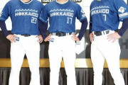 日本ハムが「北海道シリーズ」限定ユニホーム公開　紺＆水色基調で自然を表現