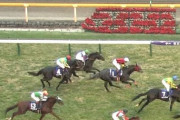 【競馬】何故ディープインパクト牡馬はラキ珍しかいないのか？