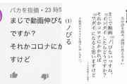 【悲報】底辺Vtuber成瀬鳴「アンチのコメントに腹が立ったので国語の問題にしました」→2500いいね 10000RT