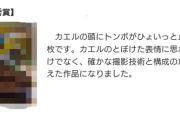 審査員「この写真は・・・確かな技術と構成の巧みさ、最優秀賞です！」→生成AI疑惑があがり終わる・・・