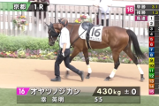 【日曜京都1R】オヤツノジカン＆幸騎手がｷﾀ━━━━(ﾟ∀ﾟ)━━━━!!