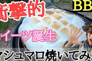 上司「会社のみんなでBBQやるぞ！食材はそれぞれ持参な」ワイ「…わ、わかりました」→結果?