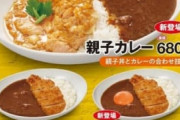 彡(ﾟ)(ﾟ)「カレー食べたい、でも親子丼も食べたい、どうすれば…」なか卯「あるよ」