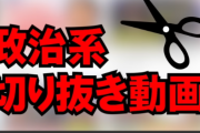 【衝撃】政治系切り抜き動画を投稿してる人の年収、とんでもないことになっていた・・・