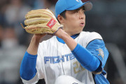 ハム田中正義（29）47登板 2勝3敗25s 防3.50←率直な感想