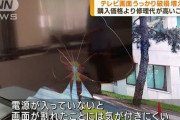【暗黒画像】何もしてないのにテレビが割れたと抜かすバカ共に、独立行政法人が注意喚起wwwwwww