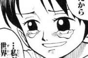 【ワンピース】くいな「ゾロはいいよね…女の子は男の子に勝てないんだよ…」