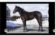 【ウマ娘】ミリオンライブ出走取消へ