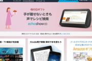 ネット通販デビューしたいんだけど、Amazonと楽天ってどっち使うべきなの？