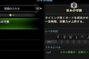 【MHWアイスボーン】ランスで「攻めの守勢」はソロだと必須だけどマルチは任意？？練習のために最低1でも付けておくと良いとの意見も