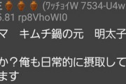 小林製薬の健康食品食って透析なった奴ｗｗｗｗｗ