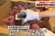 【あっ】韓国さん「日本で調達する食材は放射線検査します！」→しかし測り方をよく見てみると・・・ｗ