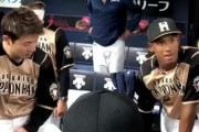 日ハム円陣「日サロ行きすぎやろ」万波中正「」　チームメイト「ギャハハハハ」