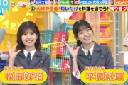 【日向坂46】ナチュラルシステマ・平尾帆夏、みなみかわさんとバチバチにw【ラヴィット!】