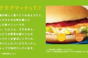 【悲報】マクドナルド最強の黒歴史、決まるwww
