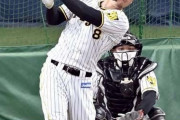 【ゲンダイ】佐藤輝明は阪神秋季Cで強制帰阪寸前だった…岡田監督がボヤキどころか激怒したワケ