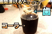 昔の人「卵は一日一個まで、コーラは骨が溶ける」←これが常識だった件w