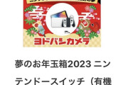 ヨドバシ夢のお年玉箱2023　Switchの夢