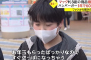 【悲報】子供「(マックが値上げして)お年玉すぐ無くなっちゃう」