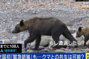 クマさん、人を食べるようになってしまう😭