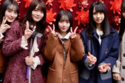 【日向坂46】坂道合同組でもっと横の繋がりが欲しい。