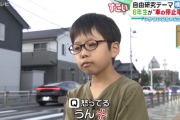小学生の自由研究「横断歩道で“止まる車”と“止まらない車”の違いを調べます」→止まらないドライバーの傾向がヤバすぎるｗｗｗｗｗ