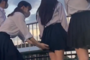【動画】女子高生さん、友達にスカートをめくられてパンチラしてしまう